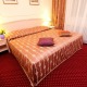Jednolůžkový pokoj de luxe  - Interhotel CENTRAL Karlovy Vary